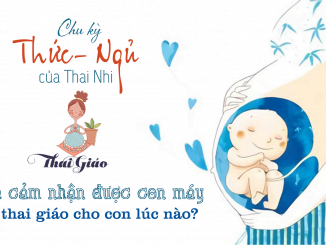 CHU KỲ THỨC CỦA THAI NHI
