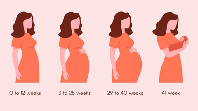 Chi tiết chế độ dinh dưỡng theo từng tuần thai kỳ giúp nuôi thai khỏe mạnh, thông minh