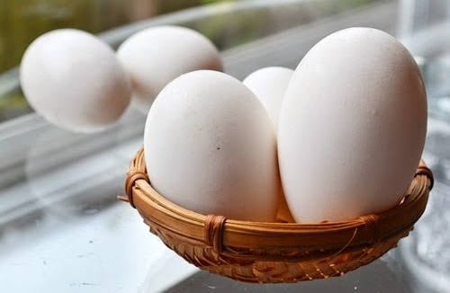 Ăn trứng ngỗng như thế nào để thai nhi thông minh?