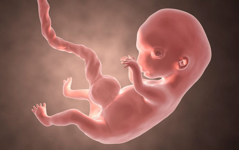 Dấu hiệu thai nhi phát triển tốt trong 3 tháng đầu của thai kỳ - xem ngay