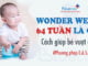 Wonder-week-64-tuan-tuoi-the-gioi-cung-nhung-nguyen-tac