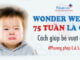 Wonder-week-75-tuan-tuoi-the-gioi-cua-nhung-he-thong