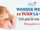wonder-week-12-tuan-la-gi