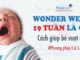 wonder-week-19-tuan-la-gi