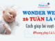 wonder-week-26-tuan-la-gi