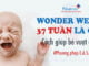 wonder-week-37-tuan-la-gi