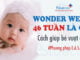 wonder-week-46-tuan-la-gi