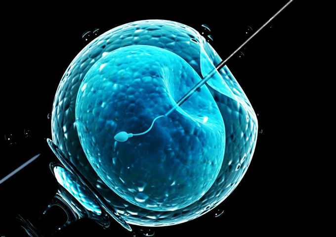 Mẹ bầu thực hiện thụ tinh nhân tạo ivf thuộc đối tượng cần xét nghiệm NIPT