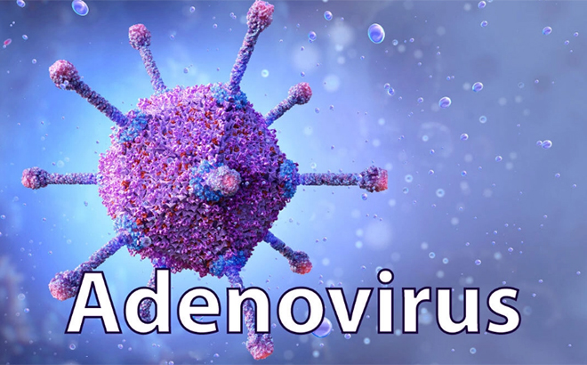 Adeno Virus